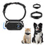 Jiawu Cat Collar Camera HD 1080P Pet Camera Collar 120° Wide Angle Dog Collar Mini Sport Action Camera Portable Camera for Cats Dogs Outdoor Inoor (Black)